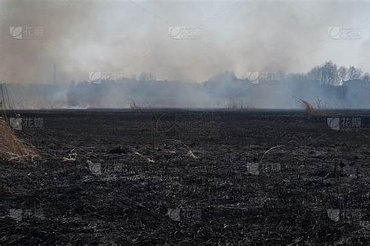 化学肥料的种类有哪些