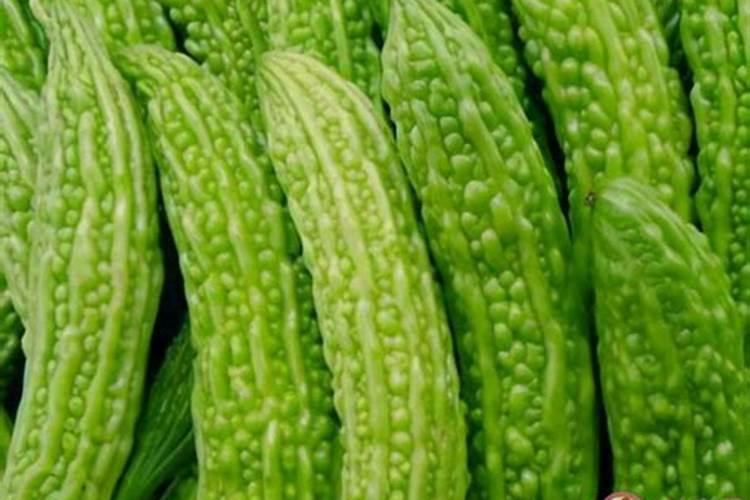 种花,长叶子的肥料,是什么肥？