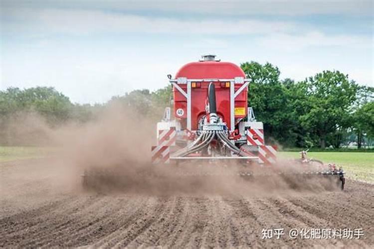 什么是硝态氮肥