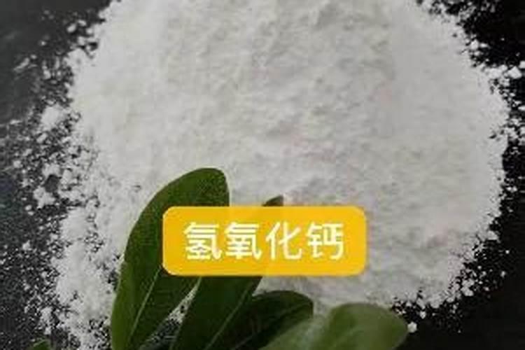 槟榔放什么肥料好