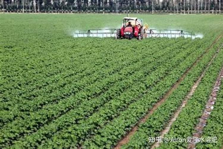 好康多缓释肥和绿奥缓释肥是同一种肥料吗