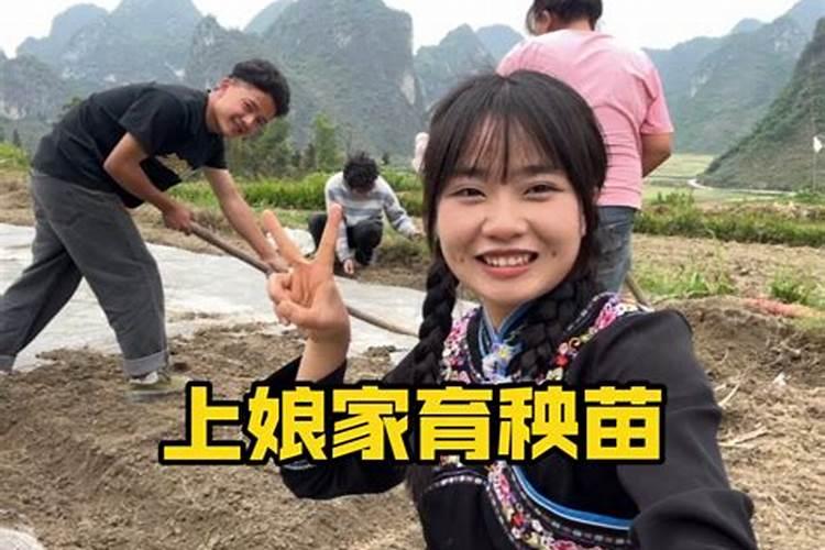 水稻旱育抛秧栽培技术要点有哪些？