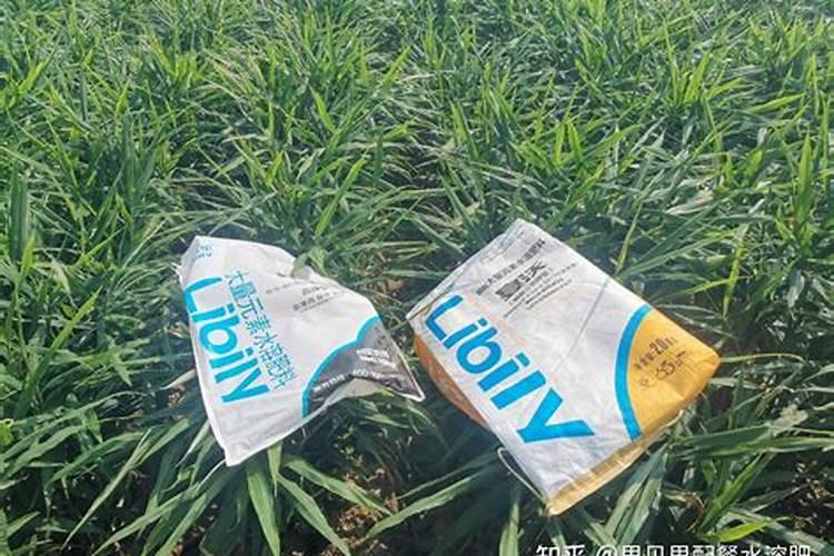 科学的施肥是关键,种植大姜应该如何施肥好呢？