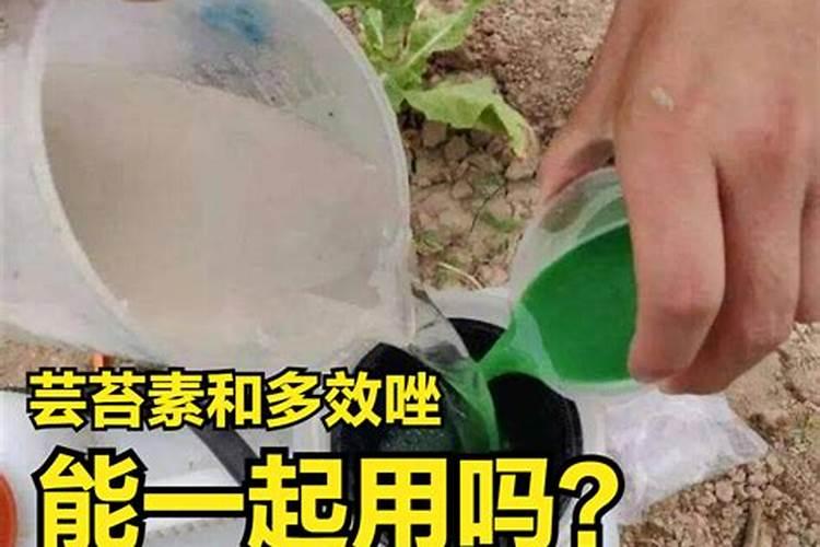 磷酸二氢钾加芸苔素加尿素用在玉米上有什么好处,什么时候打最好？