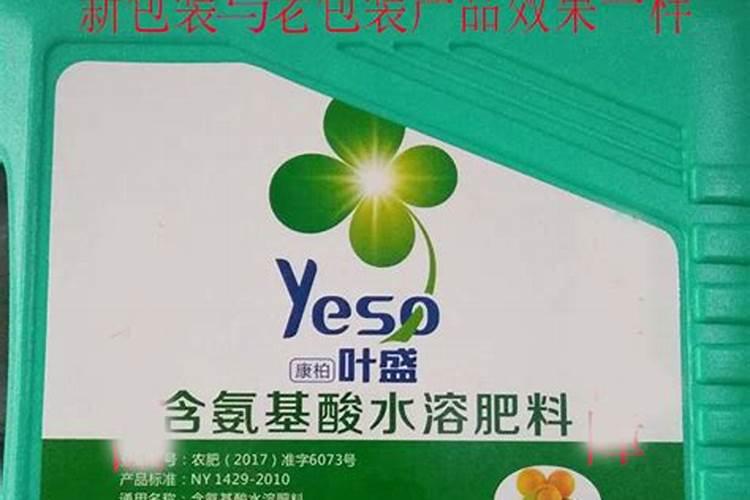 白菜有黄色干斑点怎么回事