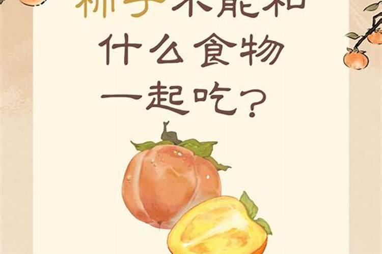 怎么用一部分组织种柿子