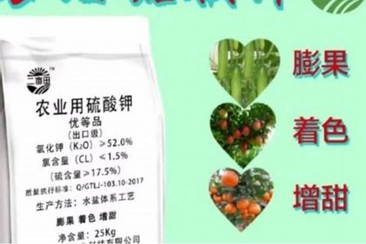 磷钾肥一袋价格表