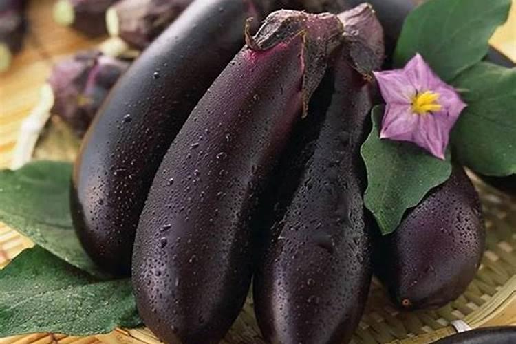 西红柿施什么肥果实膨大快？