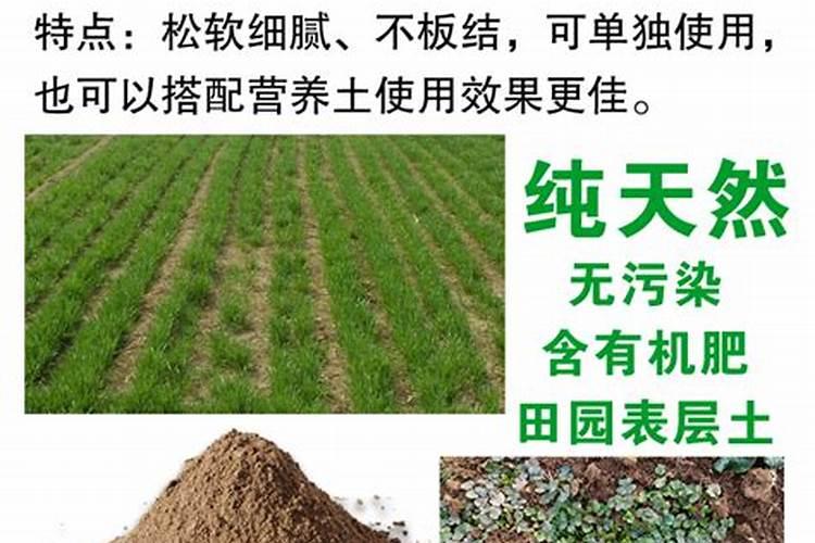 种花种菜需要什么肥料