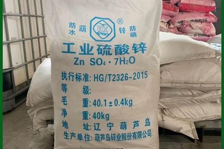 茭白种株有哪些习性？选茭白种株需要哪些注意事项呢？