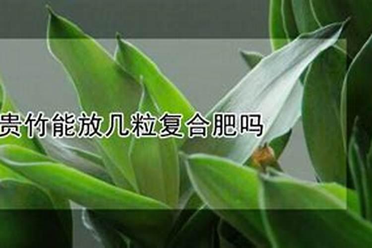 氮肥怎么区分