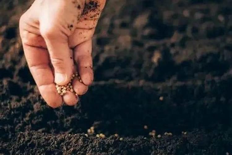 全球粮食警报拉响,“出口大户”被制裁,国际化肥市场将迎变局？