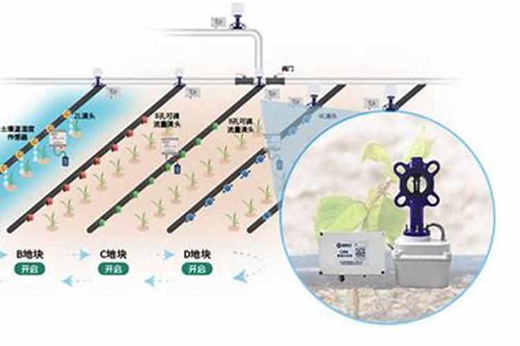 1斤水溶肥兑多少水