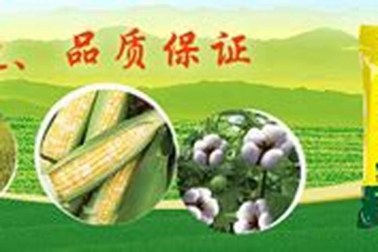 济源万洋复合肥正规吗