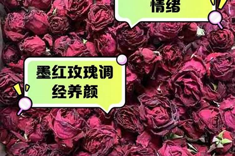 发财树怎样培养长得又大又壮