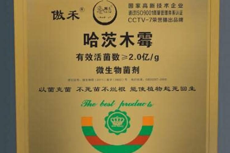 冬瓜枯萎病症状