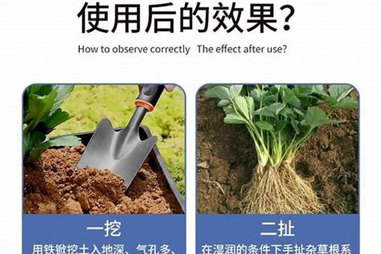 冬季如何解决蔬菜生长缓慢