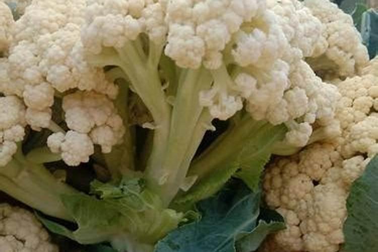 菜花冲什么肥料最好