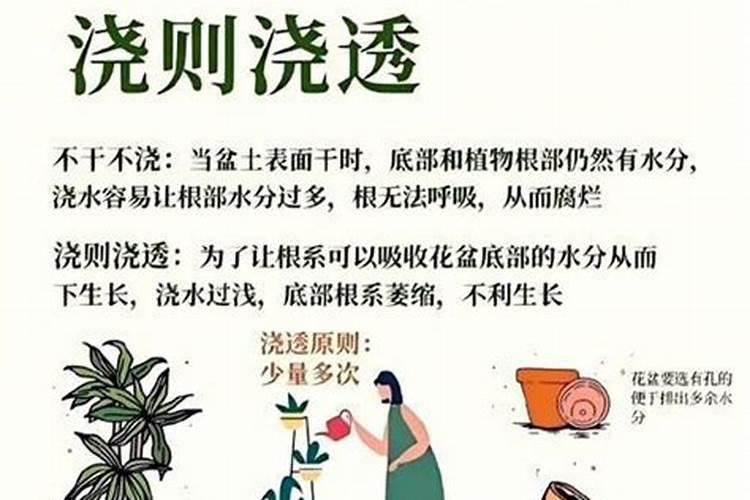 磷肥泡水可以浇花吗
