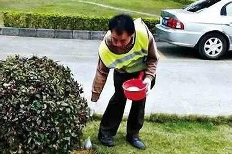绿化树木的方法