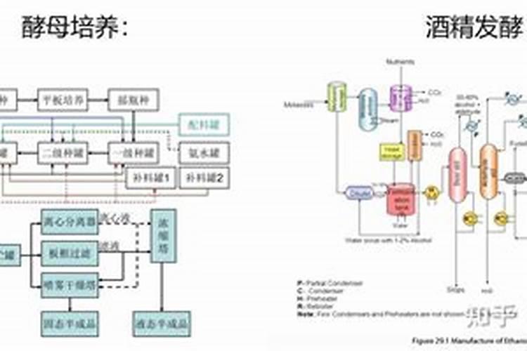 农家肥怎么发酵腐熟