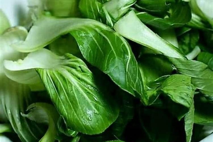 油菜该如何施肥？油菜施肥推荐量在多少？
