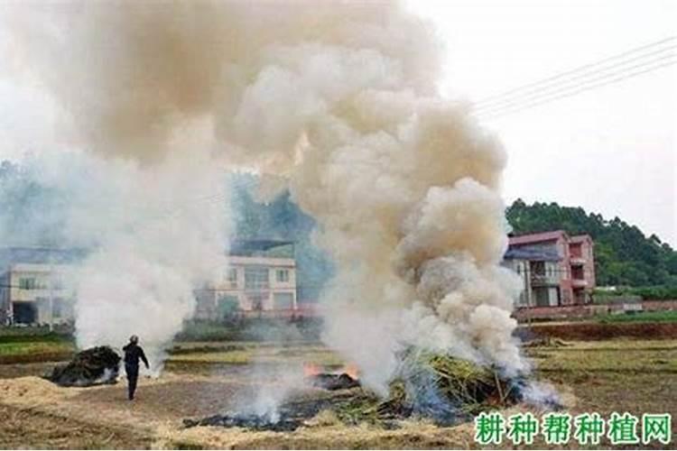 生物钾肥是什么？可以请专家们介绍一下吗？怎样使用好一些？