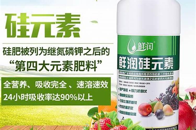 硅肥对草莓喷好还是灌根好