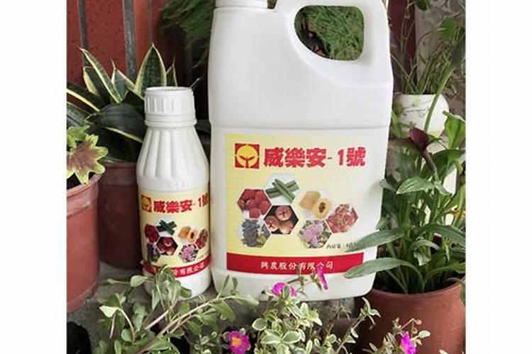 玫瑰花怎么施肥,玫瑰花施氮磷钾肥最为合适