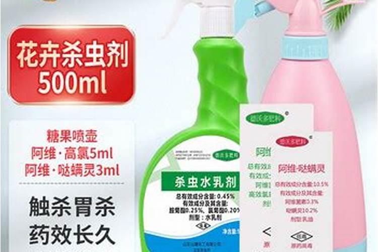 多肉法师如何浇水可以安全度夏 多肉法师如何浇水可以安全度夏