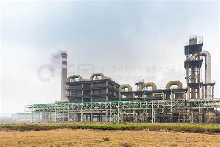 想了解一下,荸荠如何才能实现高效种植呢？有什么种植技巧吗？