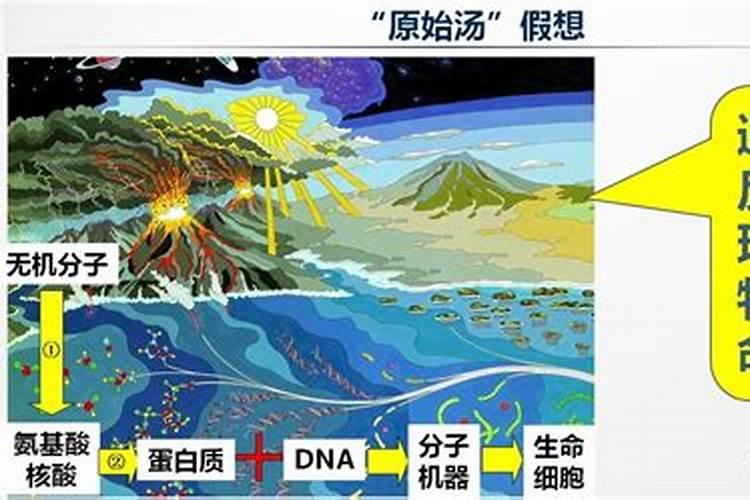 大量元素水溶肥有什么作用