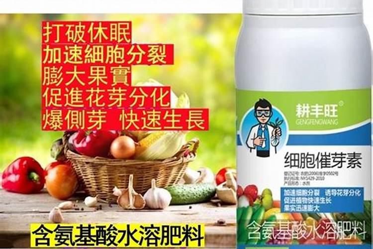 催芽用什么肥料最好
