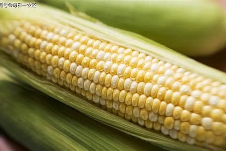 豆粕跟玉米面发酵对葡萄用怎么追？