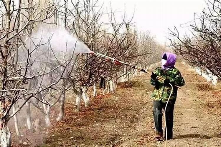 青苔可以施肥和打农药吗