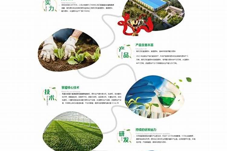 果树专用肥有那些品牌？