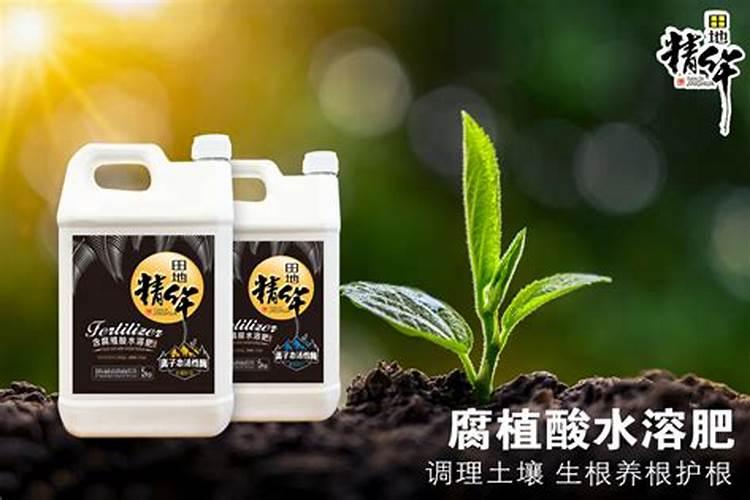果树上含氨基酸的肥料好还是腐植酸的肥料好