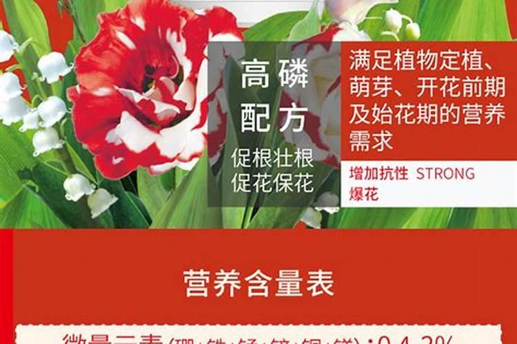 水溶性肥料市场研究报告