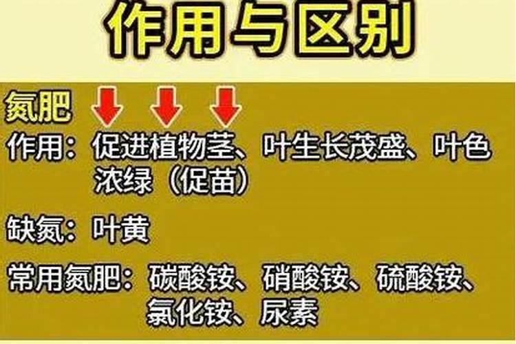 复合肥,氮肥,磷肥,钾肥有什么区别