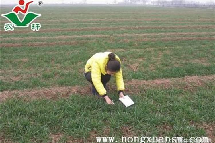 试述如何确定施肥量。