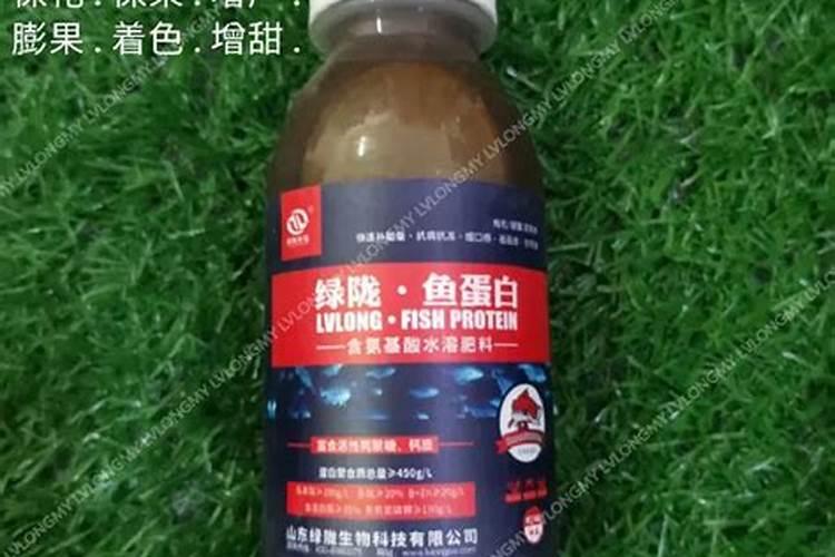 食品级滑石粉可以吃吗食品级滑石粉能不能吃