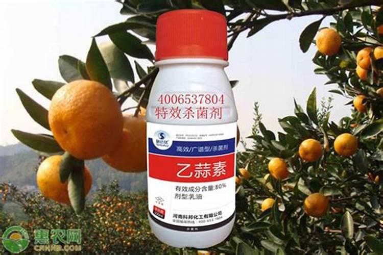 使用杀菌剂应注意什么？