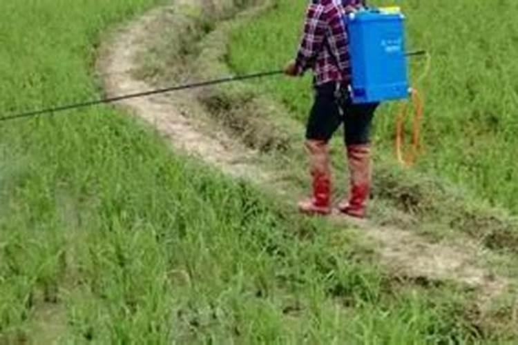 一亩地施多少磷肥合适  磷肥什么时间施最好