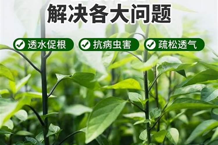 作物如何施用氮肥最有效