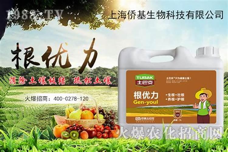 生根肥料有哪些