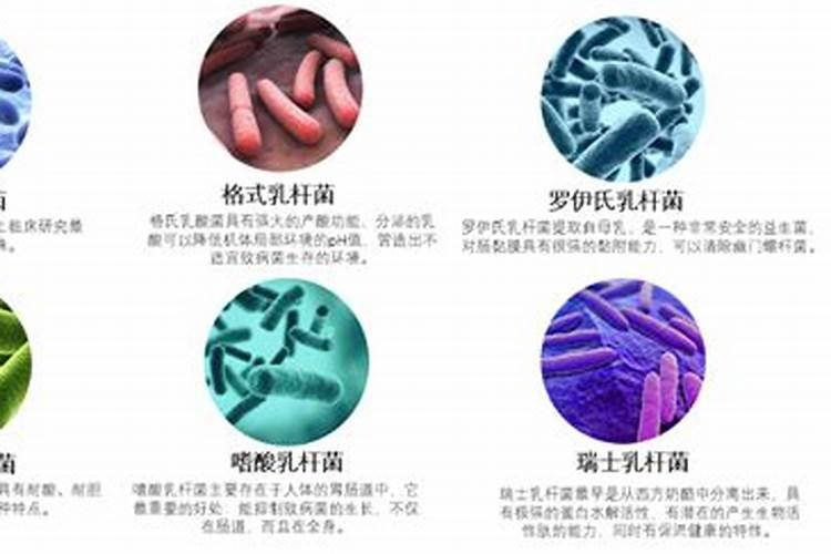 鱼蛋白肥料制作方法,附使用方法和注意事项