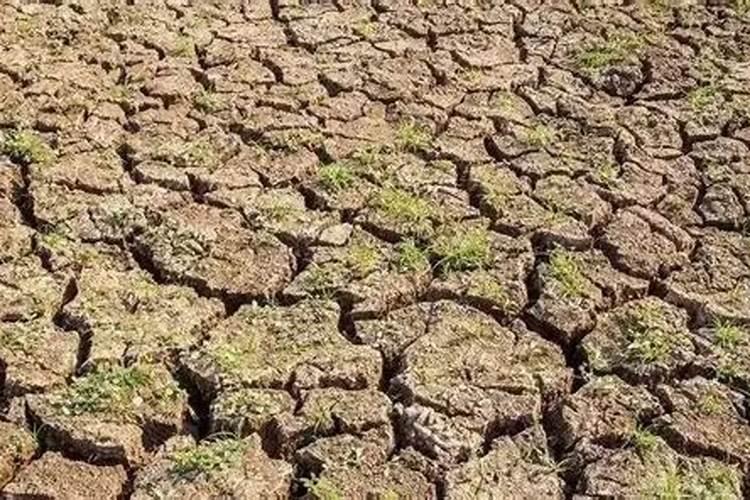 氮肥使用过量有哪些危害？氮肥使用技巧!