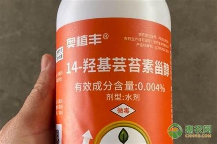 14羟基芸苔素甾醇作用是什么