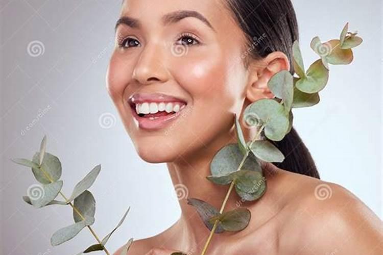 桉树施肥的正确方法