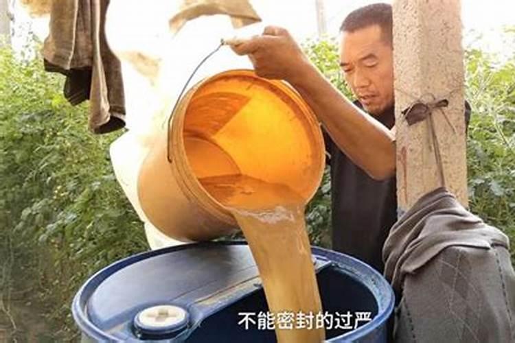 农业酵素菌肥制作方法